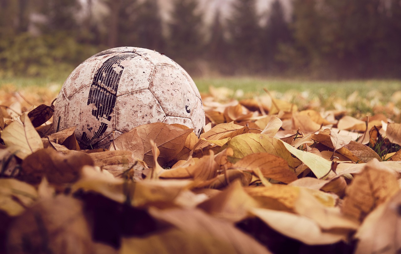 soccer, ball, nature, autumn, season, fall, leaves, sports, game, football pitch, herbstmeister, soccer, soccer, soccer, soccer, soccer