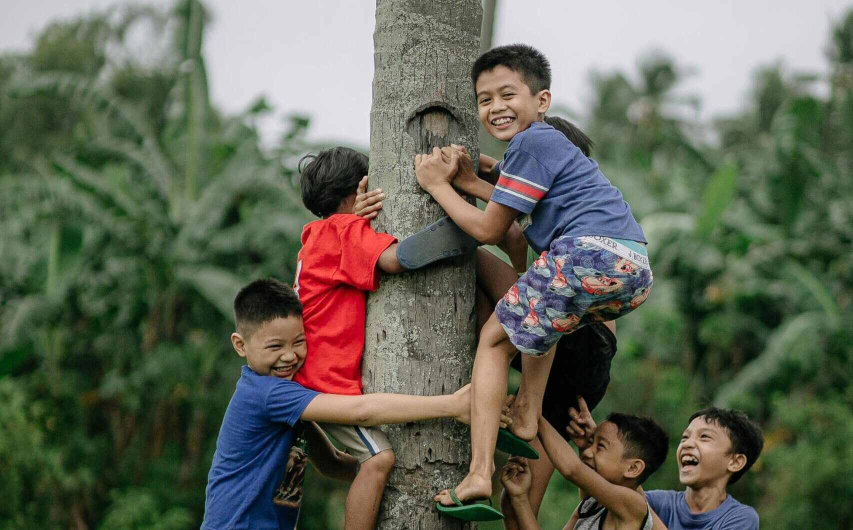 Six happy Asian boys playing and climbing a tree in a lush outdoor setting.
